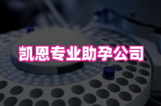 幸孕 1