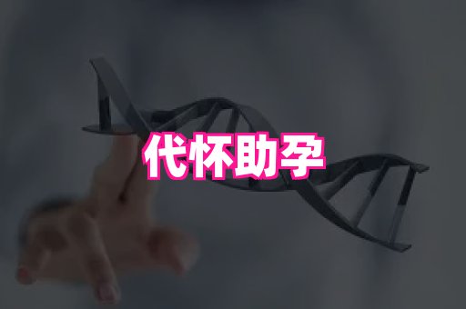 幸孕 4
